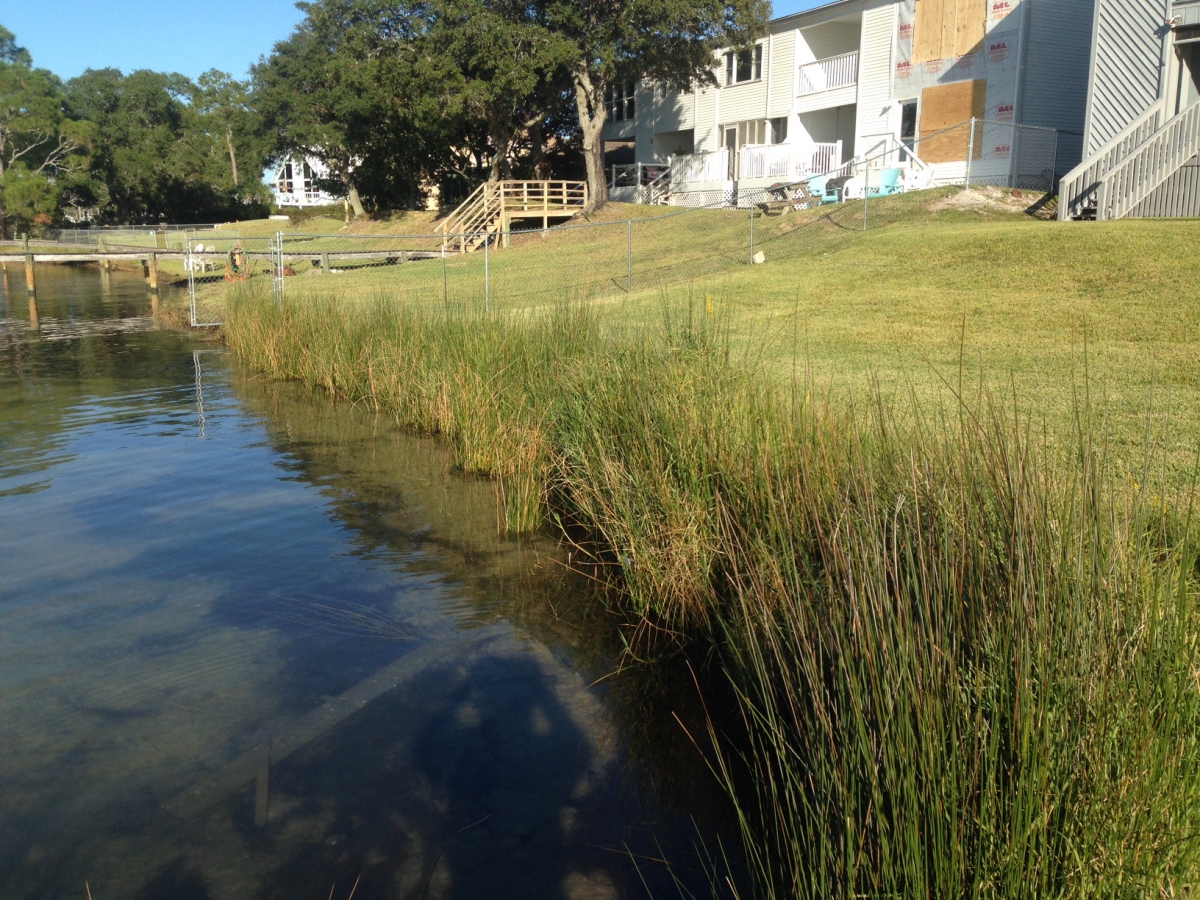 Coastal Conservation And Restoration Sub Programs Coastal R E
